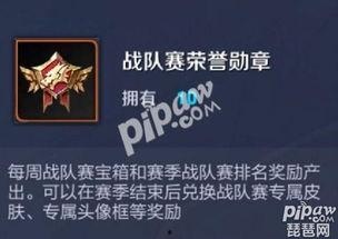 荣耀勋章最新爆料,揭秘神秘荣誉背后的故事与荣耀时刻